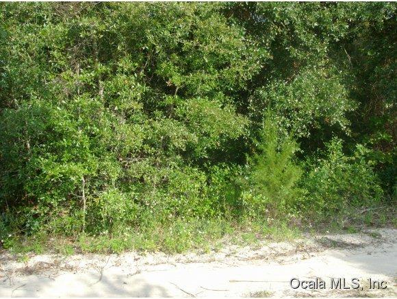 8003 NE 306TH Terrace, Salt Springs, FL 32134