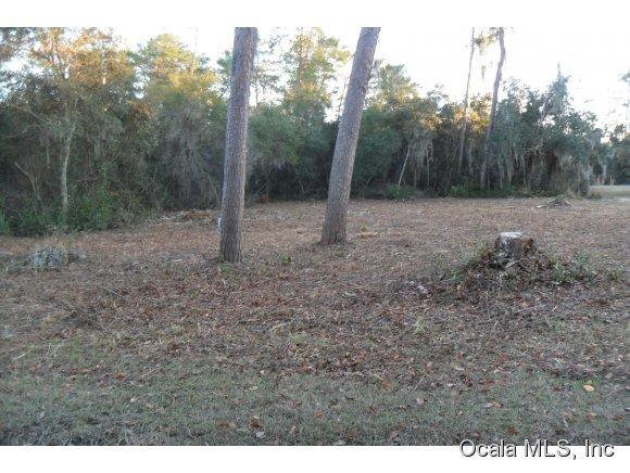 0 NE 235 Street, Fort McCoy, FL 32134