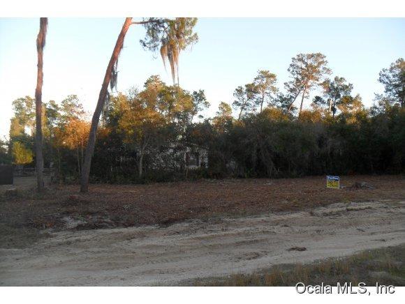 0 NE 235 Street, Fort McCoy, FL 32134