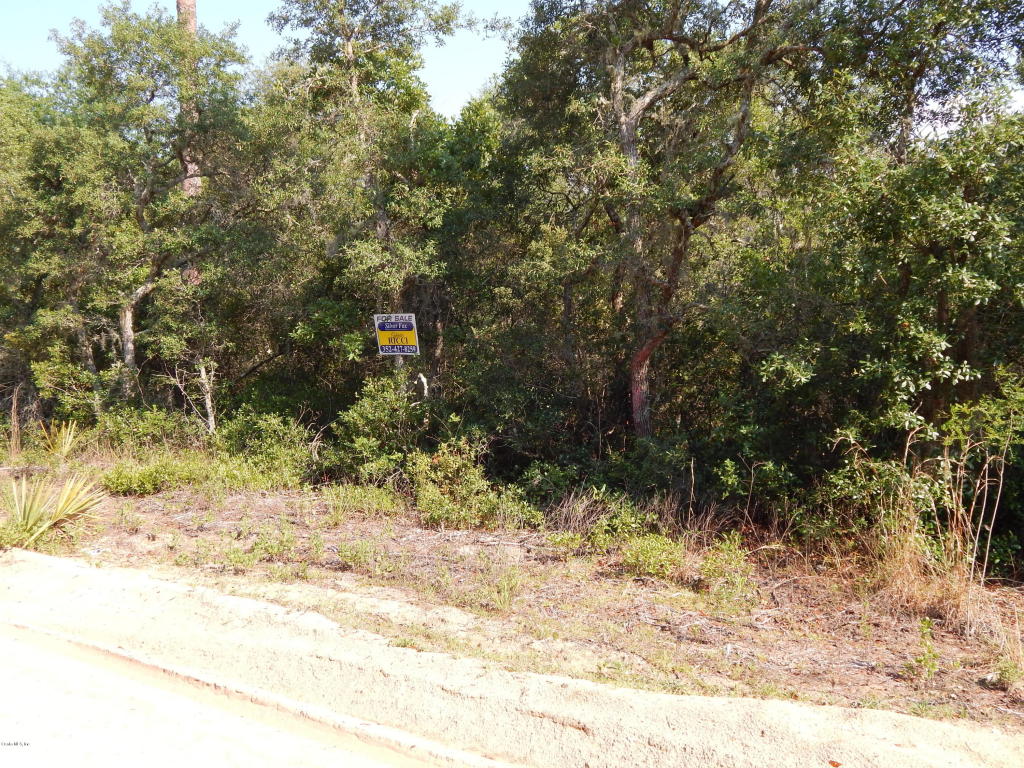 T.B.D. NE 233rd Street, Fort McCoy, FL 32134