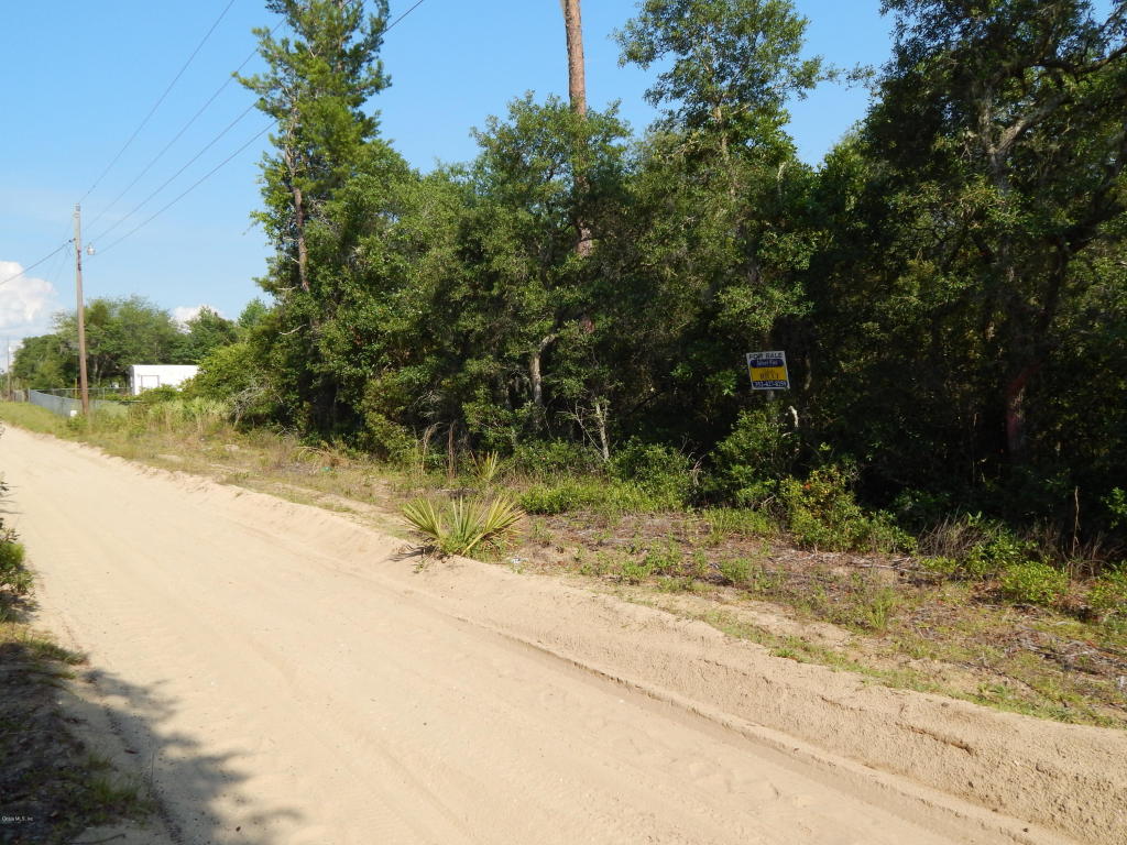 T.B.D. NE 233rd Street, Fort McCoy, FL 32134