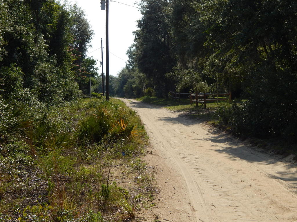 T.B.D. NE 233rd Street, Fort McCoy, FL 32134