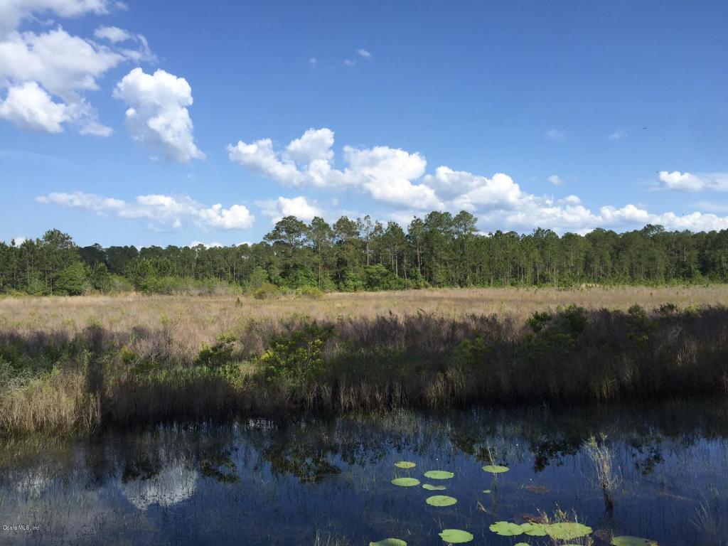 22889 NE 114th Avenue, Fort McCoy, FL 32134