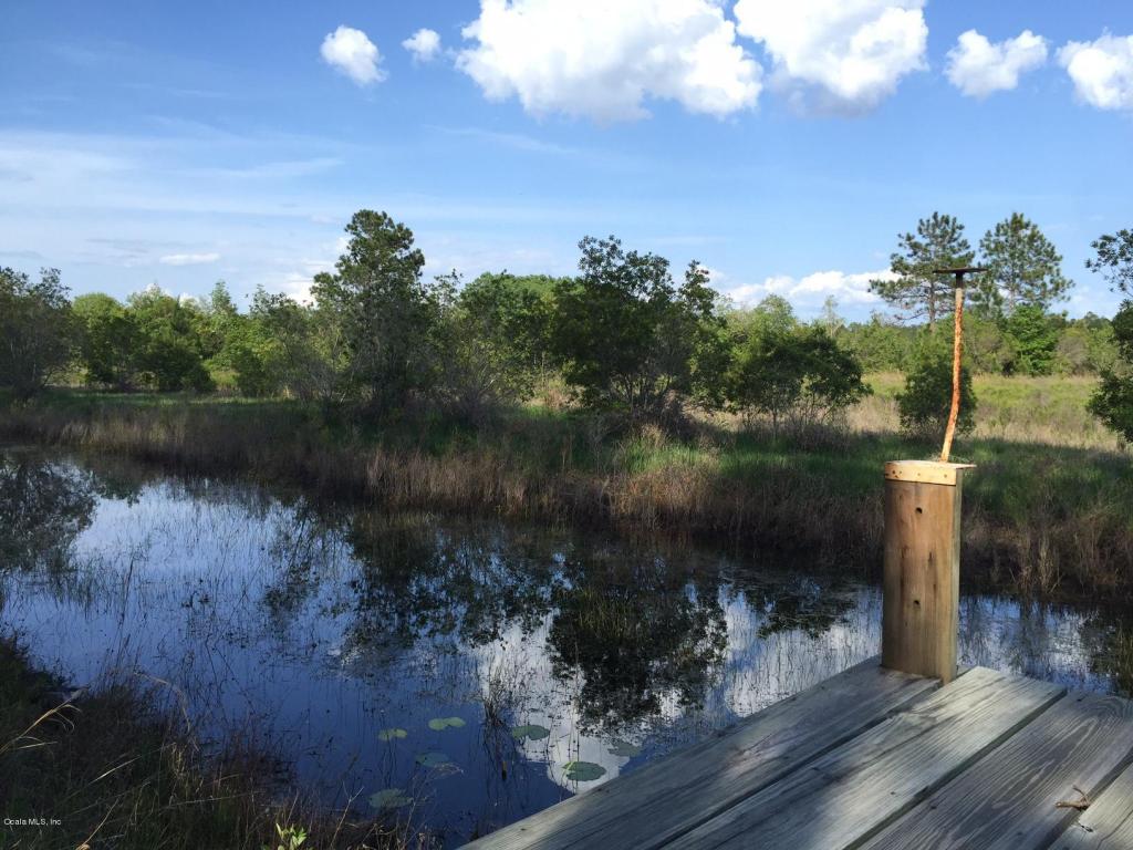 22889 NE 114th Avenue, Fort McCoy, FL 32134