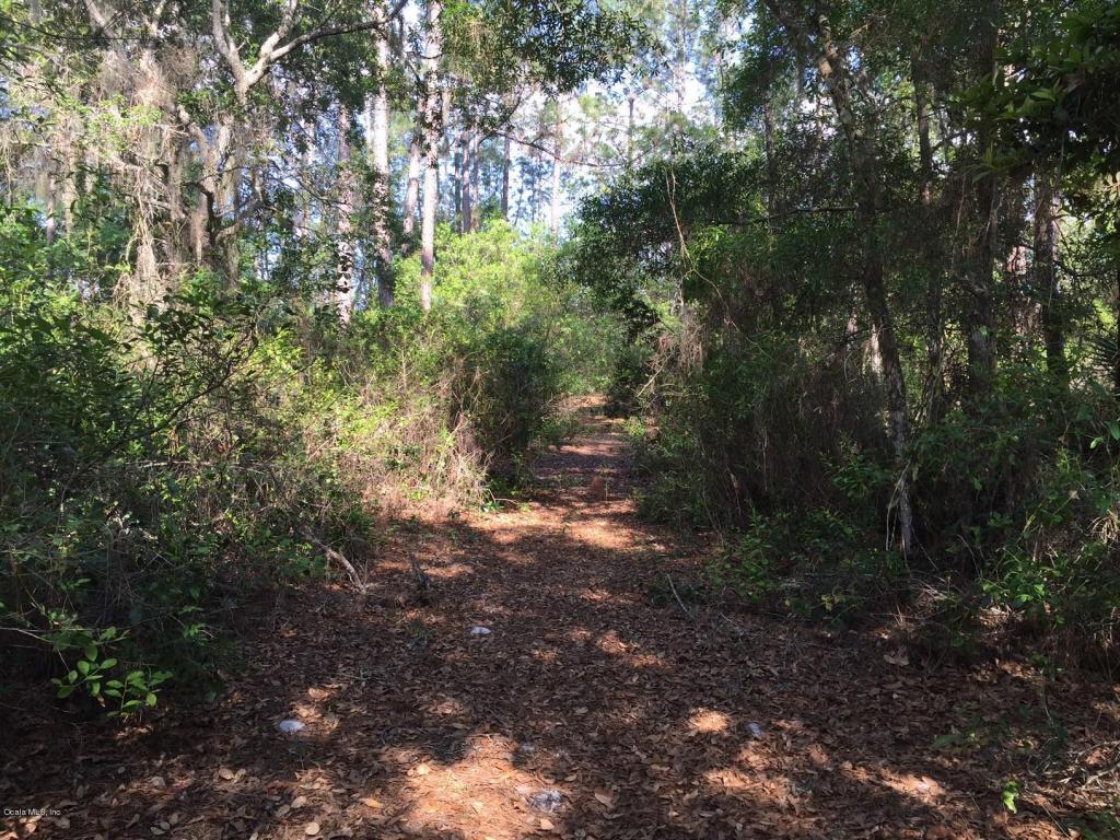 22889 NE 114th Avenue, Fort McCoy, FL 32134