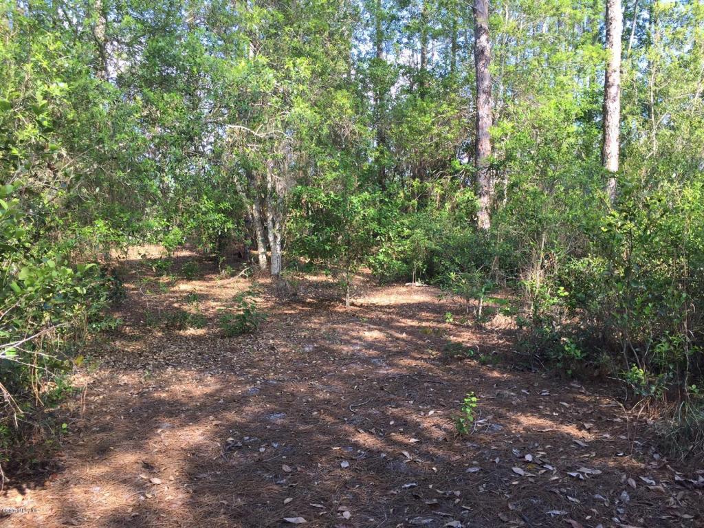 22889 NE 114th Avenue, Fort McCoy, FL 32134