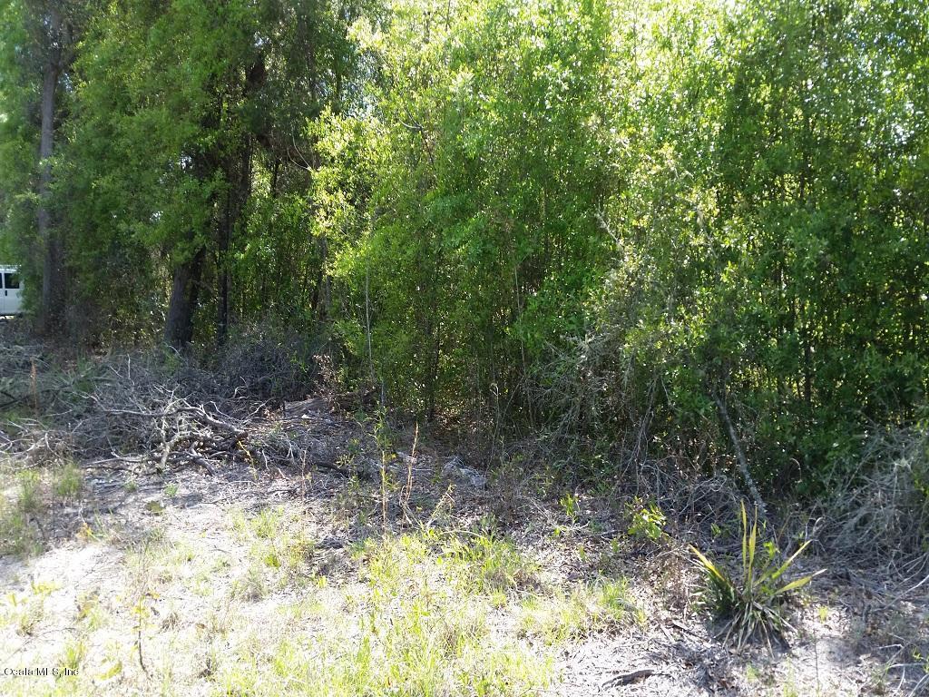 TBD NE 147 Avenue, Fort McCoy, FL 32134