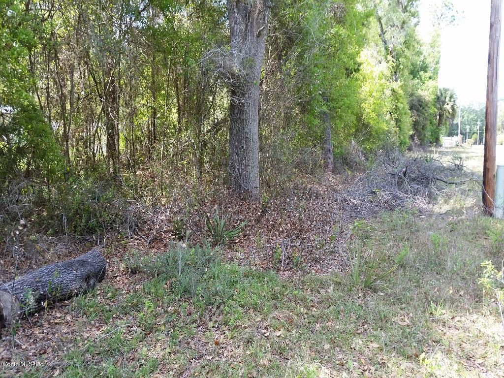 TBD NE 147 Avenue, Fort McCoy, FL 32134