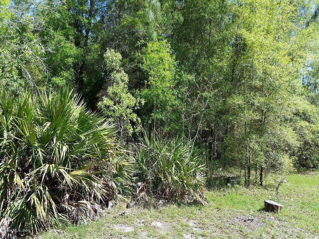 TBD NE 147 Avenue, Fort McCoy, FL 32134