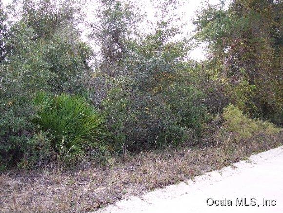 0 NE 135 Lane, Salt Springs, FL 32134