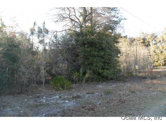 0 NE 148 Court, Fort McCoy, FL 32134