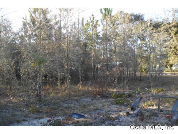 0 NE 148 Court, Fort McCoy, FL 32134