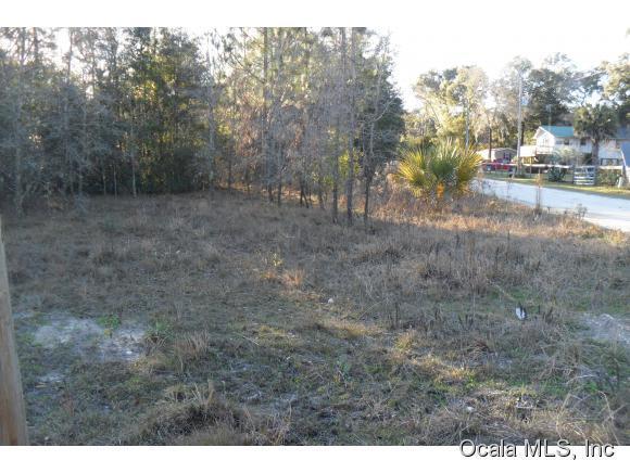 0 NE 148 Court, Fort McCoy, FL 32134