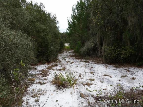 00 N Highway 19 State Road, Salt Springs, FL 32134