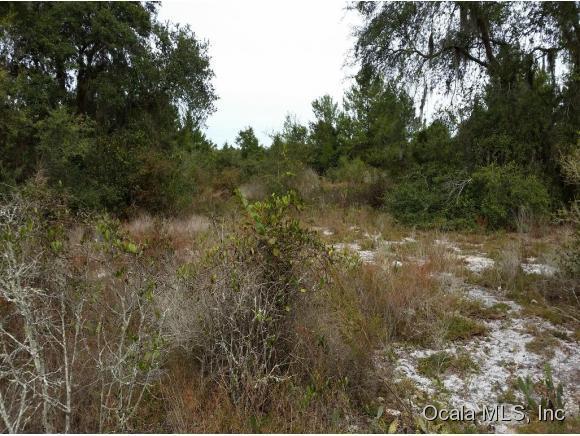 00 N Highway 19 State Road, Salt Springs, FL 32134