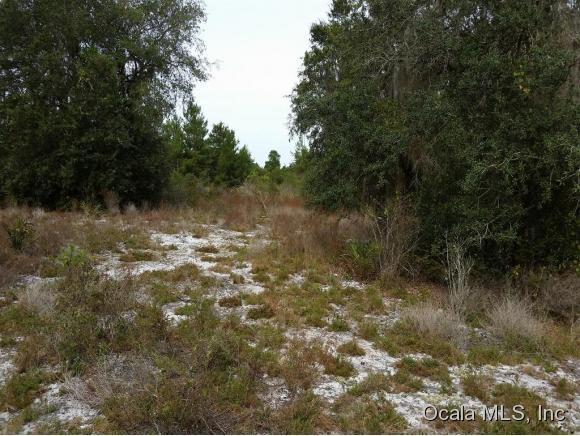 00 N Highway 19 State Road, Salt Springs, FL 32134