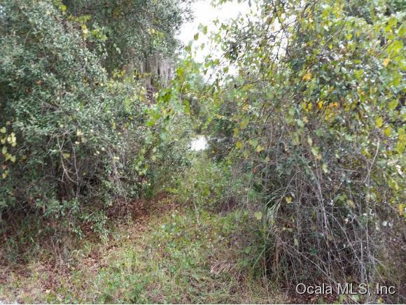 00 N Highway 19 State Road, Salt Springs, FL 32134