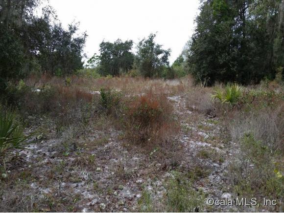 00 N Highway 19 State Road, Salt Springs, FL 32134