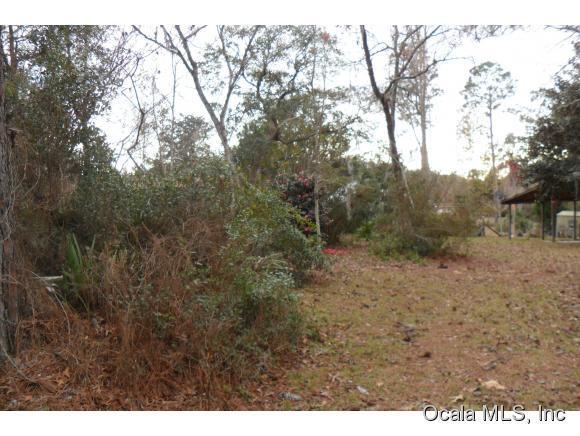 0 NE 206 Lane, Fort McCoy, FL 32134