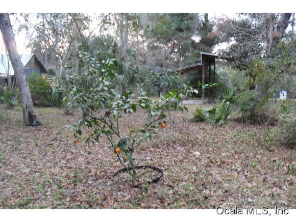 0 NE 206 Lane, Fort McCoy, FL 32134