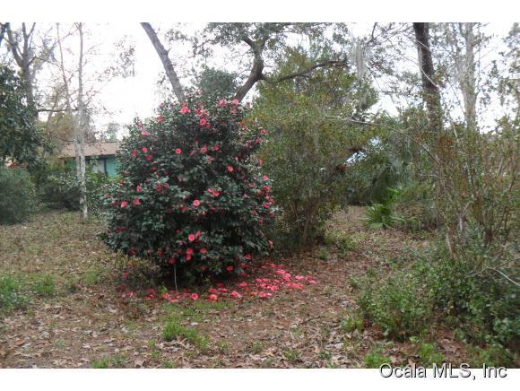 0 NE 206 Lane, Fort McCoy, FL 32134