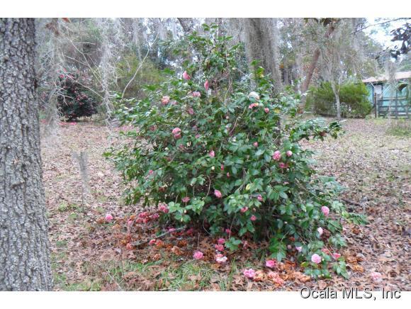 0 NE 206 Lane, Fort McCoy, FL 32134