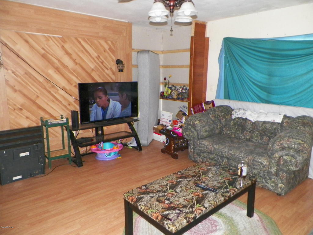13290 NE 156TH ST, Fort McCoy, FL 32134