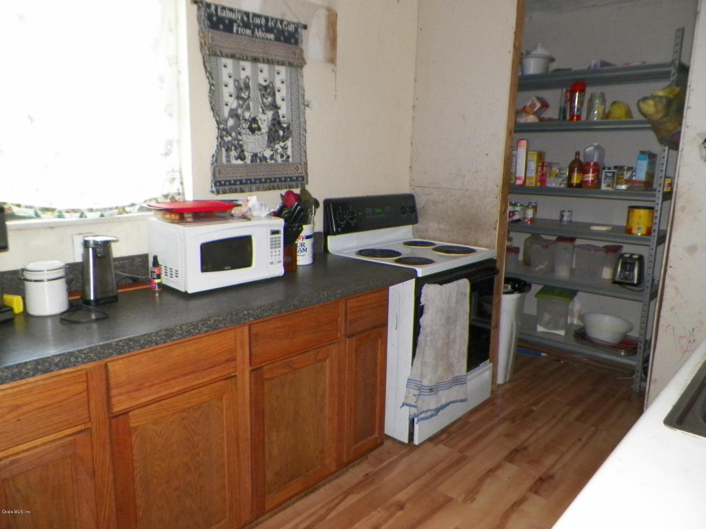 13290 NE 156TH ST, Fort McCoy, FL 32134