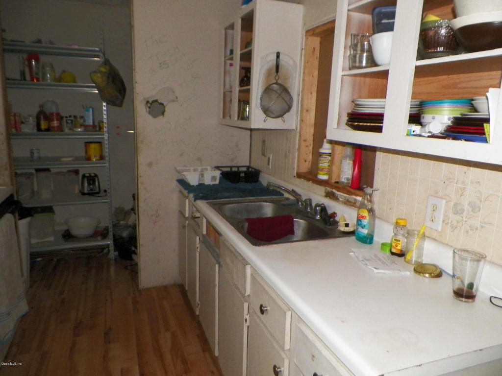 13290 NE 156TH ST, Fort McCoy, FL 32134