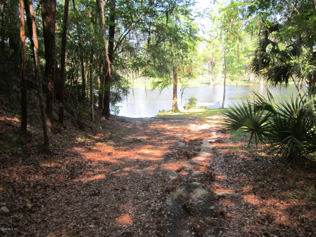 14428 NE 213TH Lane, Fort McCoy, FL 32134