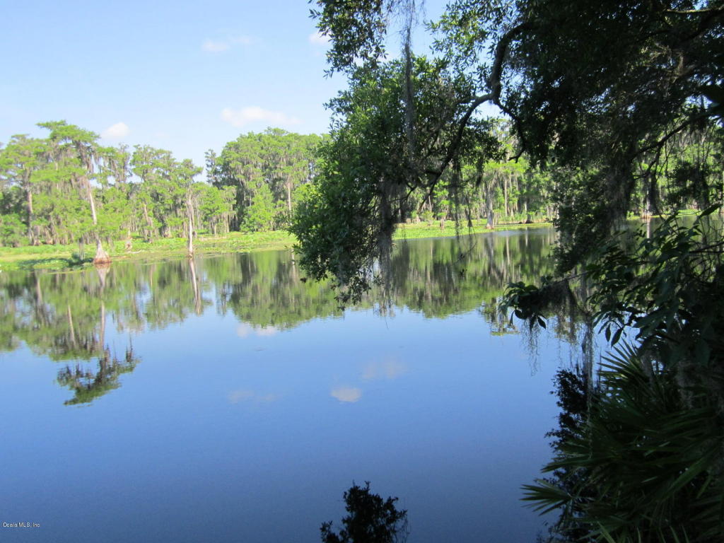 14428 NE 213TH Lane, Fort McCoy, FL 32134