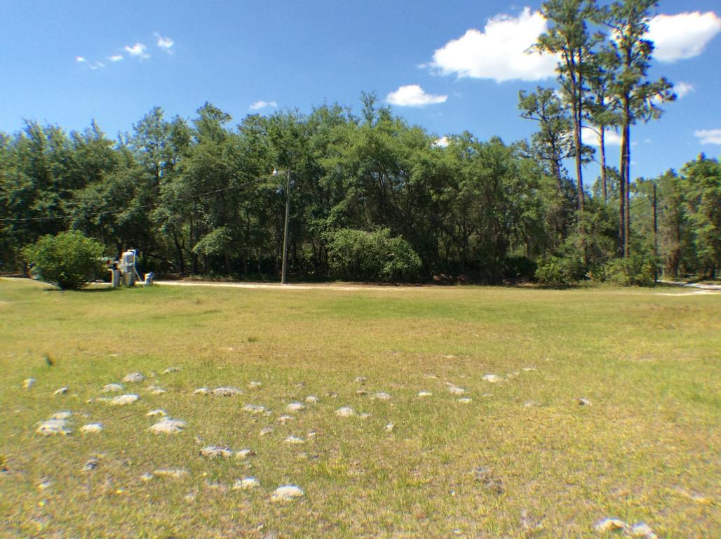 24030 NE 140 Avenue, Fort McCoy, FL 32134