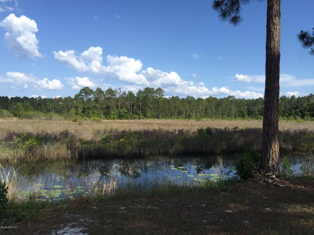 22863 NE 114TH Avenue, Fort McCoy, FL 32134