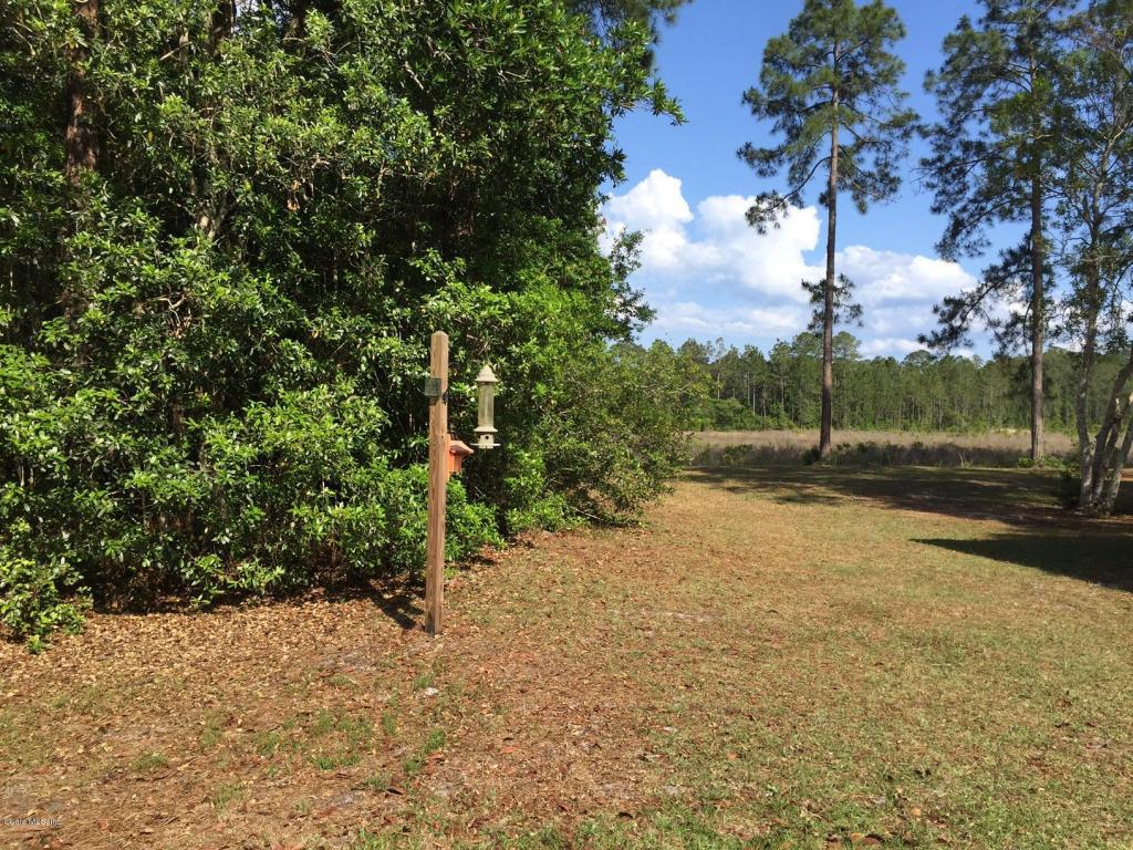 22863 NE 114TH Avenue, Fort McCoy, FL 32134