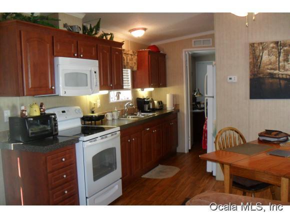 24955 NE 130TH Place, Salt Springs, FL 32134