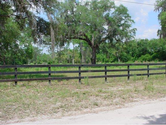 15970 NE 137 Court, Fort McCoy, FL 32134
