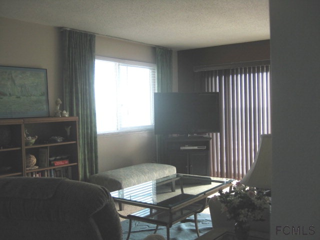 3510 Ocean Shore Blvd S, Flagler Beach, FL 32136