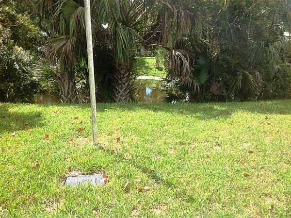 Bulow Plantation44 White FeatherFlagler Beach, FL 32136
