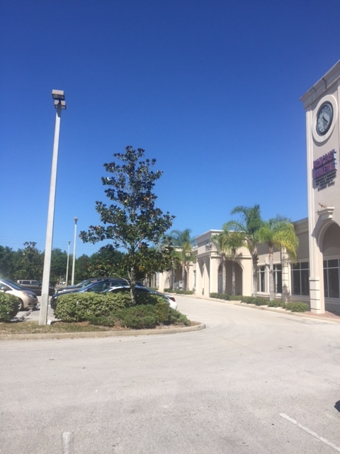 210 Old Kings Rd S, Flagler Beach, FL 32136