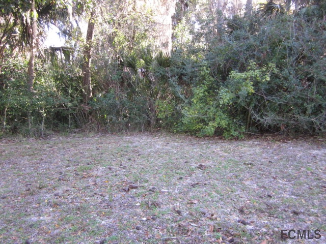 3 Willow Trace, Flagler Beach, FL 32136
