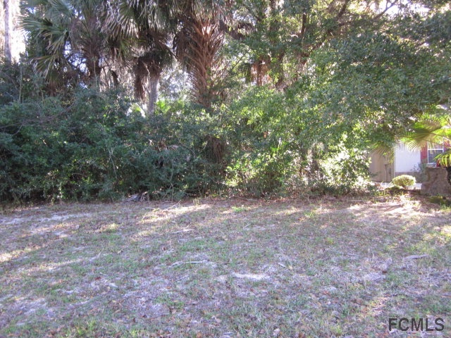3 Willow Trace, Flagler Beach, FL 32136