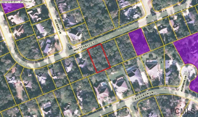 25 White Hall Ct, Flagler Beach, FL 32136