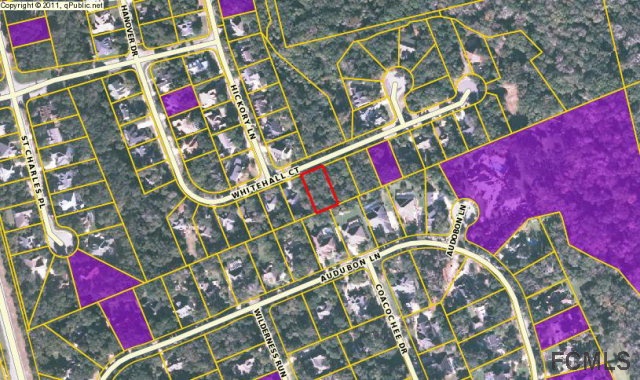 25 White Hall Ct, Flagler Beach, FL 32136