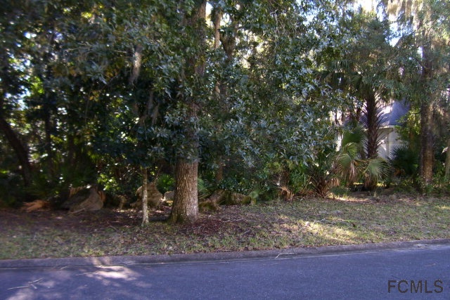 25 White Hall Ct, Flagler Beach, FL 32136