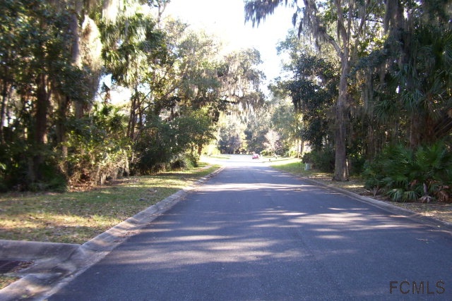 25 White Hall Ct, Flagler Beach, FL 32136