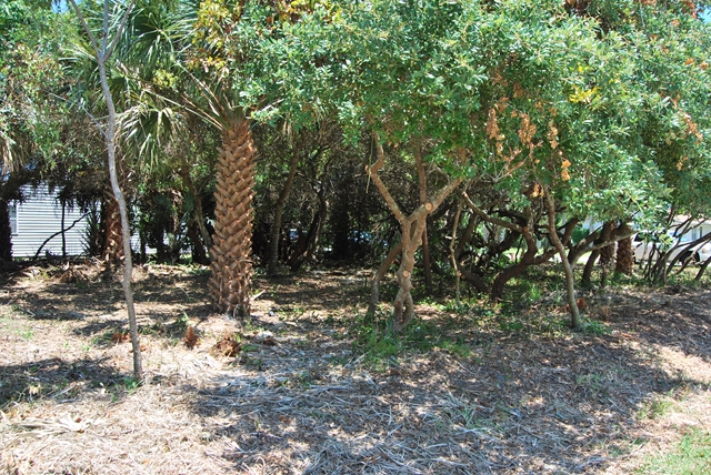 328 7th St N, Flagler Beach, FL 32136