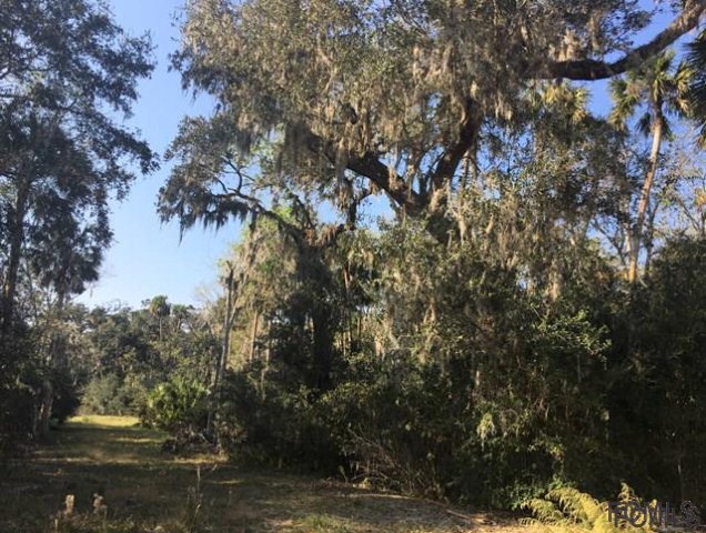 59 Waterfront Park Rd, Palm Coast, FL 32137