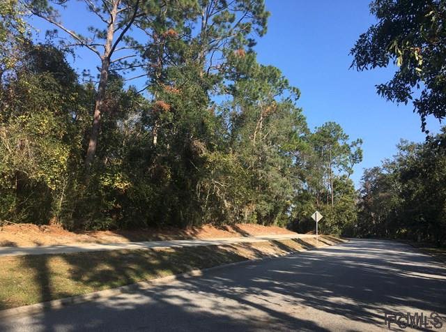 59 Waterfront Park Rd, Palm Coast, FL 32137
