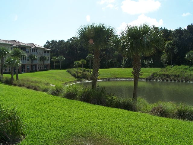 1200 Canopy Walk Lane, Palm Coast, FL 32137
