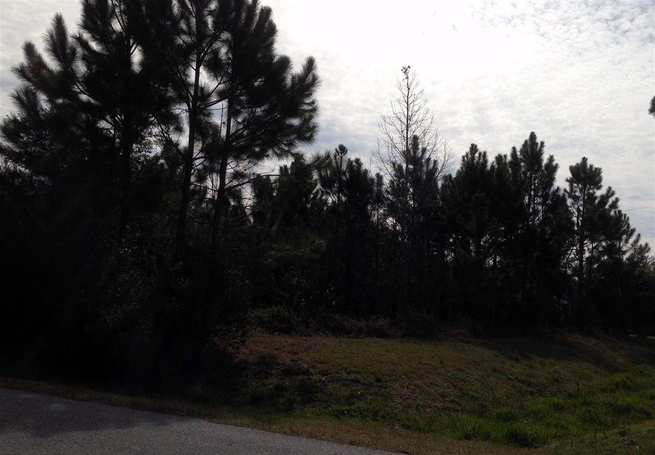 11 Buttonwood Lane, Palm Coast, FL 32137